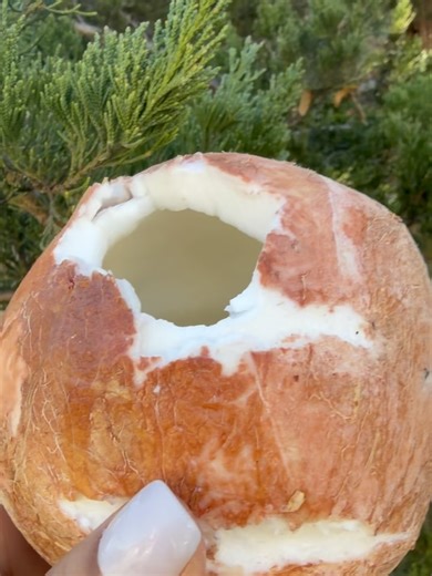 Botanica Esoterica on Instagram: "✨🥥 Coconut Water Spiritual Bath 🥥✨ Coconut water is used to refresh the spirit, cleanse negative energy, and attract blessings. This bath is perfect when you feel heavy, blocked, or ready for a reset. 🌿 Spiritual Benefits: • Attract good luck & abundance 🍀 • Cleanse spiritual residue & negativity • Renew money energy 💰 • Amplify love & attraction 💖 • Open roads & opportunities ✨ ✨ Best done on a Monday, Friday, or 