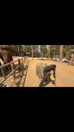 3.2K views · 107 reactions | Bank Mahout on Reels | Facebook