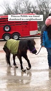 1.5M views · 90K reactions | Princess Pebble's incredible...