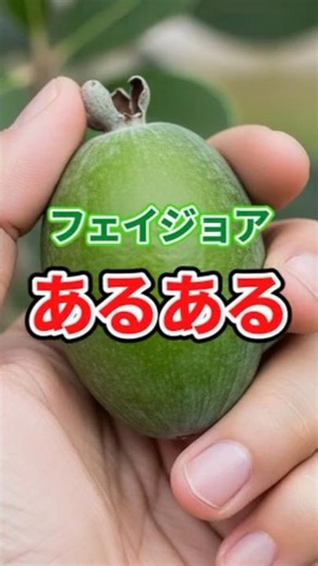 Feijoa