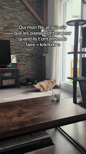 Chat effrayant les oiseaux avec « krkrkrkr »