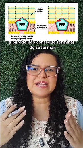 Glicopeptídeos - Antibióticos - #microbiologia