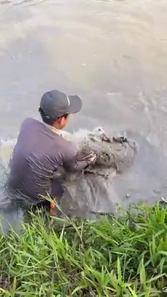 137K views · 2.5K reactions | Amazing Cast Net Fishing Skills For Massive Dragon Fish  | Survival with Emma | Facebook