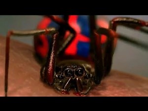 Spider-Man (2002) - Peter Parker Gets Bitten By a Radioactive Spider | Movie Clip |