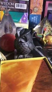 Pyro got a new toy #new #crystals #trending #trendingshorts