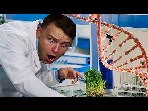 How To Get A BS Science Education (Secondary Biological Science) Degree In 1 Year At WGU