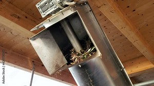 Oil mill defoliation machine process,olives rolling motion,italian extra virgin