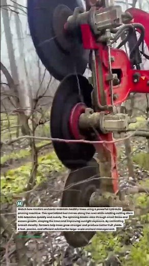 Hydraulic Orchard Tree Pruner Machine in Action #Farming #AgriTech #Orchard