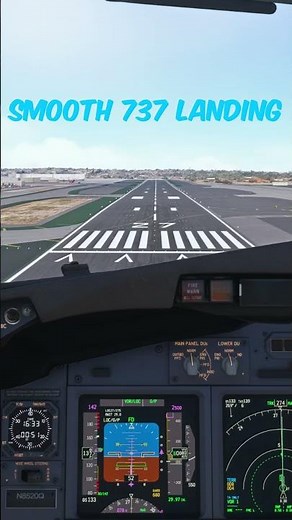 Smooth Southwest Landing in the 737-800 #live #automobile #flightsimmer #flightsim #cockpit #vatsim
