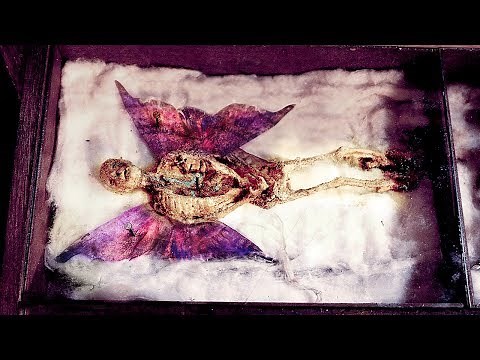 MYSTERIOUS Real Life Encounters With FAIRIES!