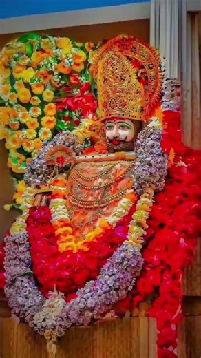 💕 Love you shri shyam baba #youtubeshorts_ #shortvideos_ #videoshort #shrikhatushyamvlog