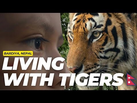 NEPAL: Living with TIGERS (The Untold Story) | EP24
