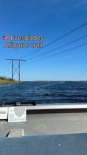 #everglades #florida #miami #evergladesnationalpark #evergladesnationalpark #evergladesalligatorfarm #alligator #alligators #airboat #airboatride | Bradly Titto | Facebook