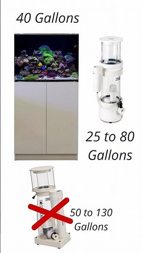 How Do You Pick a Protein Skimmer?