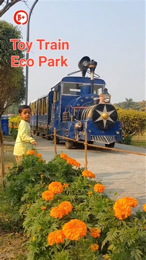 Toy Train || Toy train ride || Eco park kolkata#toytrain#ecoparkkolkata#shorts