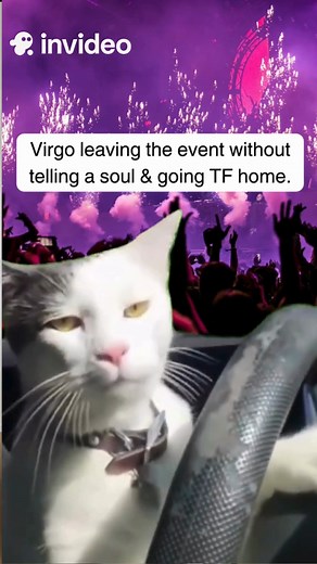 216K views · 11K reactions | It’s giving Virgo behavior  . . . . Virgo, zodiac, horoscope, memes, virgo memes, astrology, tarot | Virgo Life | Facebook