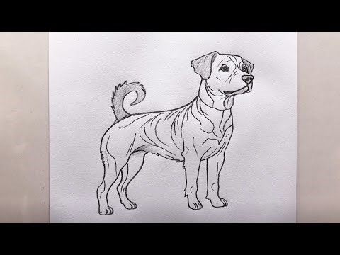 Dog Pencil Sketch Step by Step | Animal Drawing Tutorial 🐕‍🦺🐕‍🦺