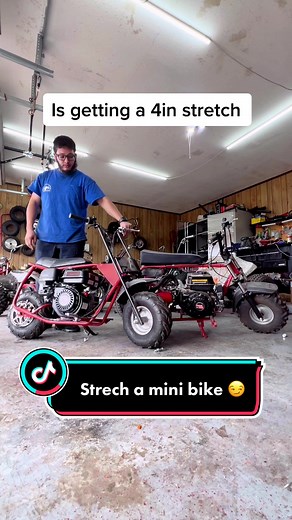 Stretched Mini Bike Types