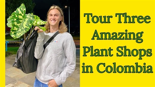 Plant nursery tour in Colombia! Houseplants, garden plants & more