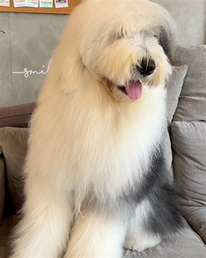 Bebe Fit Routine on Reels