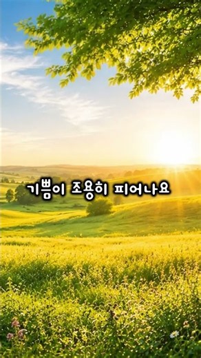 기쁨이 조용히 피어나는 아침 찬양 🌿 (CCM/은혜/힐링 워십) #아침찬양 #감사찬양 #평안한찬양 #CCM #힐링워십 #다니엘의성경과찬 #찬양연속듣기 #복음성가 #기도찬양