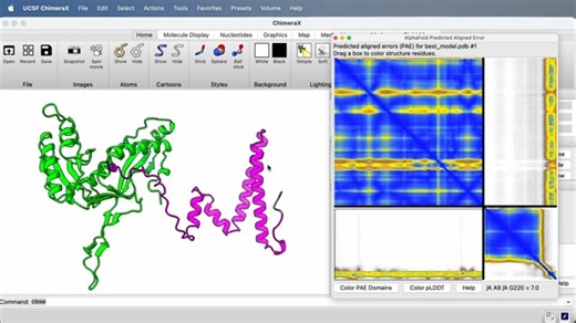 [蛋白质建模教程] 使用ChimeraX评估AlphaFold预测的蛋白质-蛋白质结合