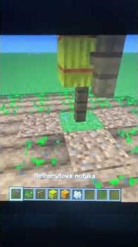 Minecraft bulid hack