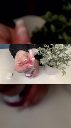 Clean, Plant-Based Beet Root for Everyday Wellness