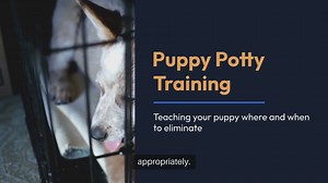 Puppy Potty Techniques