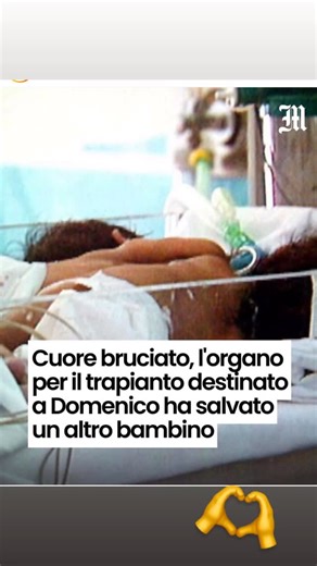 Vincenza de Martino | Almeno una buona notizia, questi giorni ci hanno devastato #video #notifier #felicita #cuore #bambino | Instagram