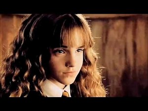 Dramione - Wizard Love