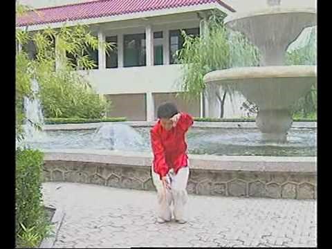 Nei Yang Gong Qigong Exercises 1 to 12