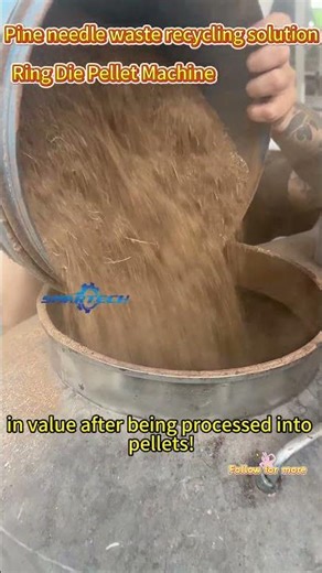 Ring Die Pellet Mill，effortlessly make pine needle fuel pellets. #biomasspelletmachine#pelletmachine