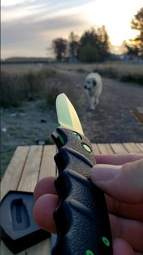 Deep Thoughts written by Jack Handey