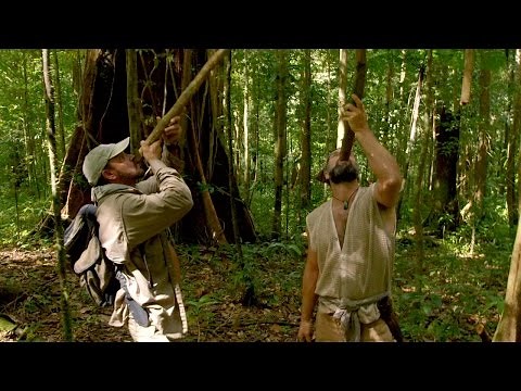 The Jungle: Nature's Water Container