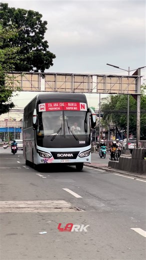Exploring GV Florida Transport Inc's Unique Bus Collection