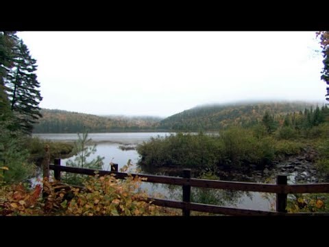 How La Mauricie National Park Is Restoring Its Wild Forests and Lakes