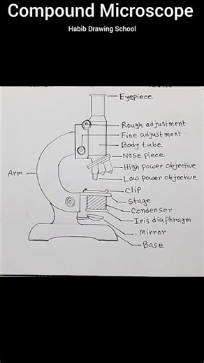 How to Draw Compound Microscope #shorts #microscopedrawing #microscope