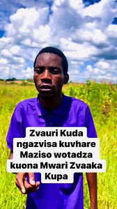 Usavharwa Maziso | Peter Mazvidza