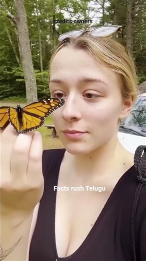 Girl Help a Beautiful Butterfly😍❤️ #shortsvideo