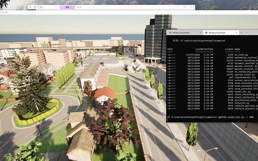 Carla安装及Demo运行