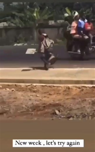 How to Start a Farm-Part 1 In this series,which will start from October 2025 to June 2026 we shall walk together on a new project on how to start a farm.This series will help those intending to start farming from scratch to crop selection. We assume you have your land in place.Whats next? We need to ensure its secured.Barbed wire or game wire can do the work. | 𝐌𝐒𝐈𝐍𝐉𝐄 𝐀𝐆𝐑𝐎 𝐒𝐎𝐋𝐔𝐓𝐈𝐎𝐍𝐒