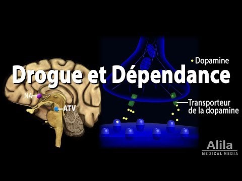 Addiction Mechanism in the Brain, Animation