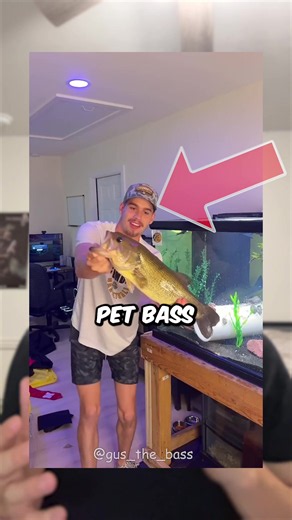 He Ate Every Friend He Ever Had🥲 This guy raised a baby largemouth bass named Gus into the most aggressive fish on the internet, and it ate every single friend he ever put in the tank. A hundred goldfish, a year- long buddy named Little Russ, even fish he had to rescue and release into ponds just to keep them alive. Nothing survived Gus... until the one thing nobody saw coming. Watch till the end. Cred:@Gus_The_Bass #fish #funny #fishing #bass #storytime
