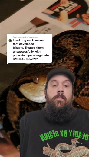 Caring for Your Pet Ring Neck Snake: Tips and Advice