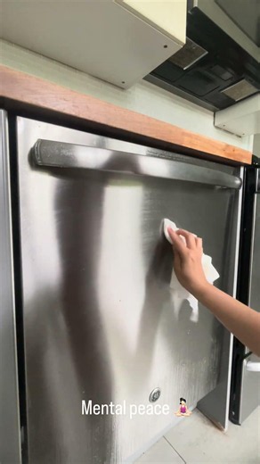 Cleaning Dishwasher Door With Windex ASMR — Satisfying Streak Free Clean