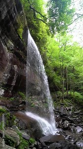 Rainbow Falls in Great Smoky Mountains National Park, vertical full view of falls as water cascades down onto rocks in forest