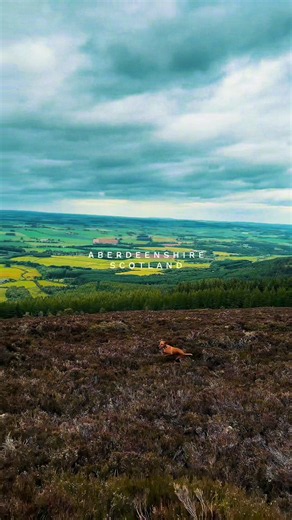 Weekend in Aberdeen, Scotland 🫶🏼 A perfect Saturday spent driving out to my husband’s hometown (well, technically a wee village) and hiking Bennachie (pronounced benna-hee…which I only butchered about 14 times 🤣) ⭐️⭐️ The views over Aberdeenshire were absolutely incredible. Scotland is a special place 🏴󠁧󠁢󠁳󠁣󠁴󠁿✨ Oh, and Scotland won their first World Cup match…so not a bad weekend all around 🫶🏼⚽️ #scotland #aberdeenshire #visitscotland #hiking #aberdeen