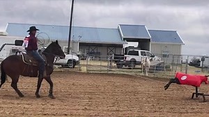 Stretch Roping Dummies has the most realistic finish. How important if the finish to you? | Buddy Hawkins