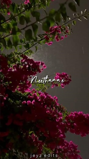 neethane neethane song whatsapp status | mersal movie song | lyrics edit |